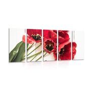 5-PIECE CANVAS PRINT BLOOMING RED TULIPS - PICTURES FLOWERS - PICTURES