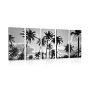 5-PIECE CANVAS PRINT OF COCONUT TREES ON A BEACH IN BLACK AND WHITE - BLACK AND WHITE PICTURES - PICTURES