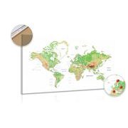 Picture on cork classic world map with white background