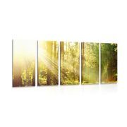 5-teiliges Wandbild Sonnenstrahlen im Wald