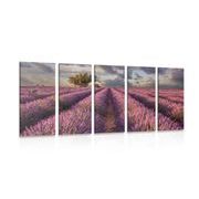 5 part picture landscape of lavender fields