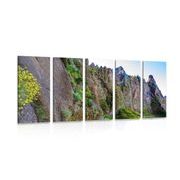 5 part picture narrow hiking trail
