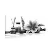 Canvas print lily and wellness still life in black and white