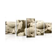 5-piece Canvas print field of wild poppies in sepia design