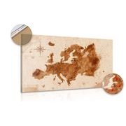 DECORATIVE PINBOARD RETRO MAP OF EUROPE - PICTURES ON CORK - PICTURES