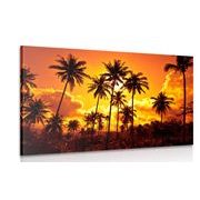 Canvas print of coconut palms on the beach