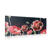 Picture of red poppies on a black background