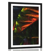 AFFICHE AVEC MONTURE DE FEUILLES DE PALMIER TROPICAL - NATURE - AFFICHES