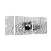 5 part picture pareal Zen garden with orchid in black & white