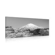 WANDBILD BERG FUJI IN SCHWARZ-WEISS - SCHWARZ-WEISSE BILDER - BILDER