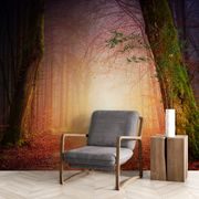 SELF ADHESIVE WALLPAPER FOREST IN FABULOUS COLORS - SELF-ADHESIVE WALLPAPERS - WALLPAPERS