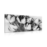 CANVAS PRINT TULIPS WITH A SPRING TOUCH IN BLACK AND WHITE - BLACK AND WHITE PICTURES - PICTURES