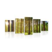 5-PIECE CANVAS PRINT MORNING IN THE FOREST - PICTURES OF NATURE AND LANDSCAPE - PICTURES