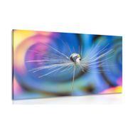 CANVAS PRINT DROP OF DEW ON A COLORED BACKGROUND - PICTURES FLOWERS - PICTURES