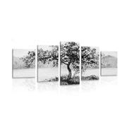 5-PIECE CANVAS PRINT ORIENTAL CHERRY IN BLACK AND WHITE - BLACK AND WHITE PICTURES - PICTURES