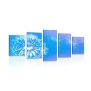 5-piece Canvas print dandelion on a blue background