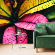 WALL MURAL COLORED LEAVES - WALLPAPERS NATURE - WALLPAPERS