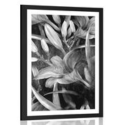 POSTER WITH MOUNT BLOOMING LILY IN BLACK AND WHITE - BLACK AND WHITE - POSTERS