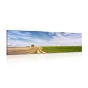 CANVAS PRINT MAGICAL LANDSCAPE - PICTURES OF NATURE AND LANDSCAPE - PICTURES