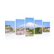 5-PIECE CANVAS PRINT FUJI VOLCANO - PICTURES OF NATURE AND LANDSCAPE - PICTURES