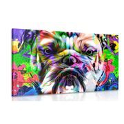 ΕΙΚΌΝΑ POP ART ΜΠΟΥΛΝΤΌΓΚ - ΠΊΝΑΚΕΣ - 🔥 ΣΥΝΟΛΙΚΉ ΠΏΛΗΣΗ🔥