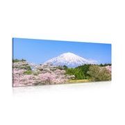 CANVAS PRINT MOUNT FUJI - PICTURES OF NATURE AND LANDSCAPE - PICTURES