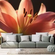 SELF ADHESIVE WALL MURAL LILY ON A BLACK BACKGROUND - SELF-ADHESIVE WALLPAPERS - WALLPAPERS