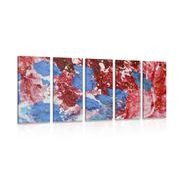 5-piece Canvas print watercolor in an abstract design