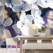 WALL MURAL BLOSSOMING CHERRY BRANCH - WALLPAPERS FLOWERS - WALLPAPERS