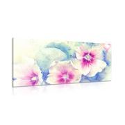 CANVAS PRINT FLOWERS IN PINK WATERCOLORS - PICTURES FLOWERS - PICTURES