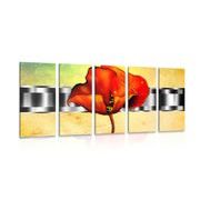 5-piece Canvas print abstract poppy