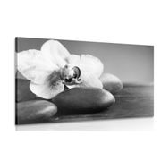 Wandbild Steine mit Orchidee in Schwarz-Weiß