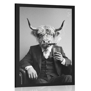 PLAKAT KRAVE U ODIJELU S CIGAROM I VISKIJEM - BIVOLI - PLAKATI