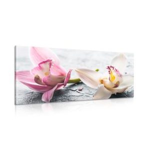 CANVAS PRINT ORCHID FLOWERS - PICTURES - 🔥 TOTAL SALE 🔥