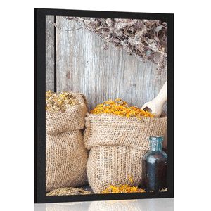 ΑΦΊΣΑ ΘΕΡΑΠΕΥΤΙΚΆ ΒΌΤΑΝΑ - Η ΝΕΚΡΉ ΦΎΣΗ - ΑΦΊΣΕΣ