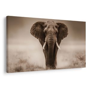 TABLEAU SUR TOILE – ÉLÉPHANT MAJESTUEUX DANS LA SAVANE - TABLEAUX ÉLÉPHANTS - TABLEAUX
