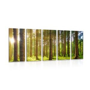 TABLOU 5-PIESE DIMINEAȚA ÎN PĂDURE - TABLOU NATURĂ ȘI PEISAJE NATURALE - TABLOURI