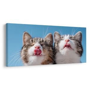 TABLOU DUO DE PISICI JUCĂUȘE ÎN DETALIU - TABLOURI CU PISICI - TABLOURI