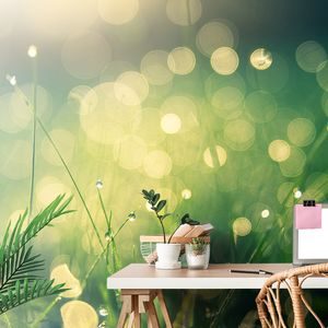 PAPIER PEINT – ROSÉE DU MATIN - PAPIERS PEINTS NATURE - PAPIERS PEINTS PANORAMIQUES