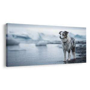 OBRAZ ZASNĚŽENÁ KRAJINA SE PSEM - PICTURES DOGS - PICTURES