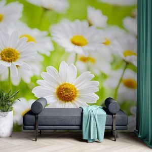 SJÄLVHÄFTANDE FOTOTAPET VÅRÄNG MED BLOMMOR - SJÄLVHÄFTANDE FOTOTAPETER - FOTOTAPETER