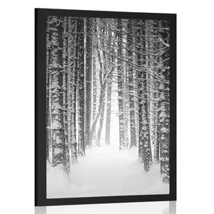 Plagát les zahalený snehom v čiernobielom prevedení