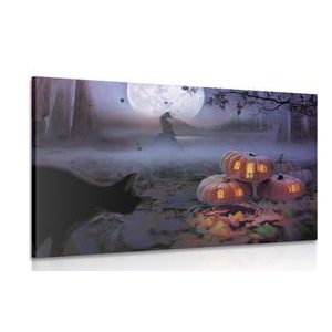 PICTURE OF PUMPKINS IN A MYSTERIOUS FOREST - PICTURES CATS - PICTURES