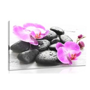 TABLEAU SUR TOILE – BELLE HARMONIE DE PIERRES ET ORCHIDÉES - TABLEAUX FENG SHUI - TABLEAUX