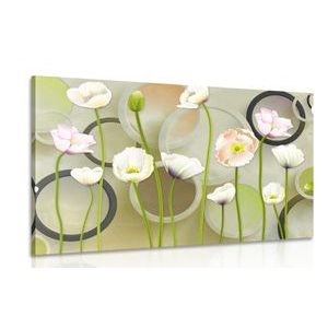 CANVAS PRINT WHITE POPPIES ON AN ABSTRACT BACKGROUND - PICTURES FLOWERS - PICTURES