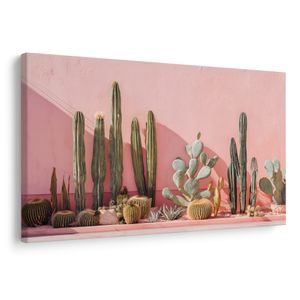КАРТИНА НА ПЛАТНО – КАКТУСИ НА РОЗОВА СТЕНА - БОТАНИЧЕСКИ ИЗОБРАЖЕНИЯ - КАРТИНИ