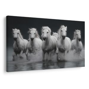 OBRAZ BIELE KONE V POHYBE - OBRAZY KONE - OBRAZY