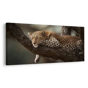 WANDBILD WILDE ELEGANZ IN DER NATUR - BILDER VON LÖWEN UND TIGERN - BILDER