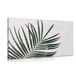 CANVAS PRINT BEAUTIFUL PALM LEAF - STILL LIFE PICTURES - PICTURES