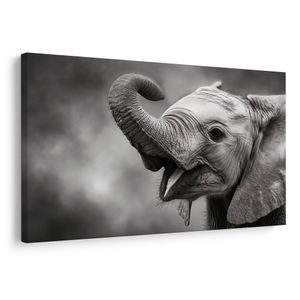 QUADRO SU TELA – CUCCIOLO DI ELEFANTE IN BIANCO E NERO - QUADRI DI ELEFANTI - STAMPE E QUADRI